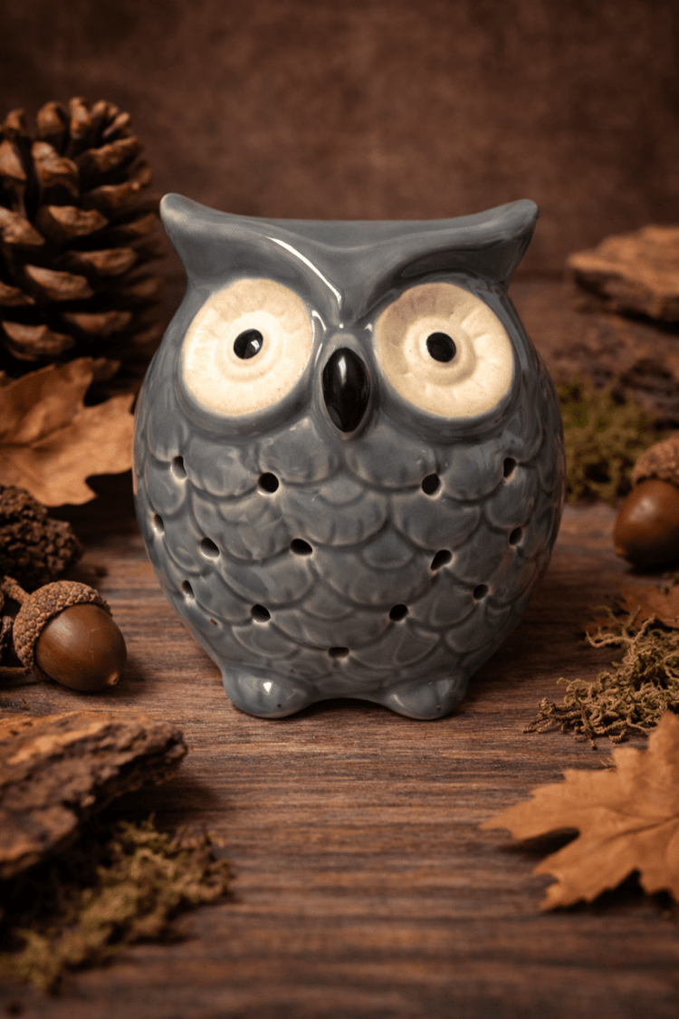 🦉 Quemador de Esencias Búho Cerámico - VeCandles
