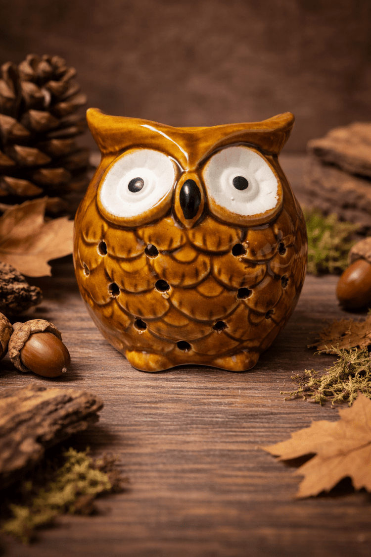 🦉 Quemador de Esencias Búho Cerámico - VeCandles