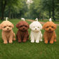 🐾 Vela en Forma de Perrito - VeCandles