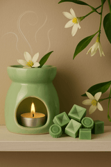 100gr Wax Melts -Galán de Noche